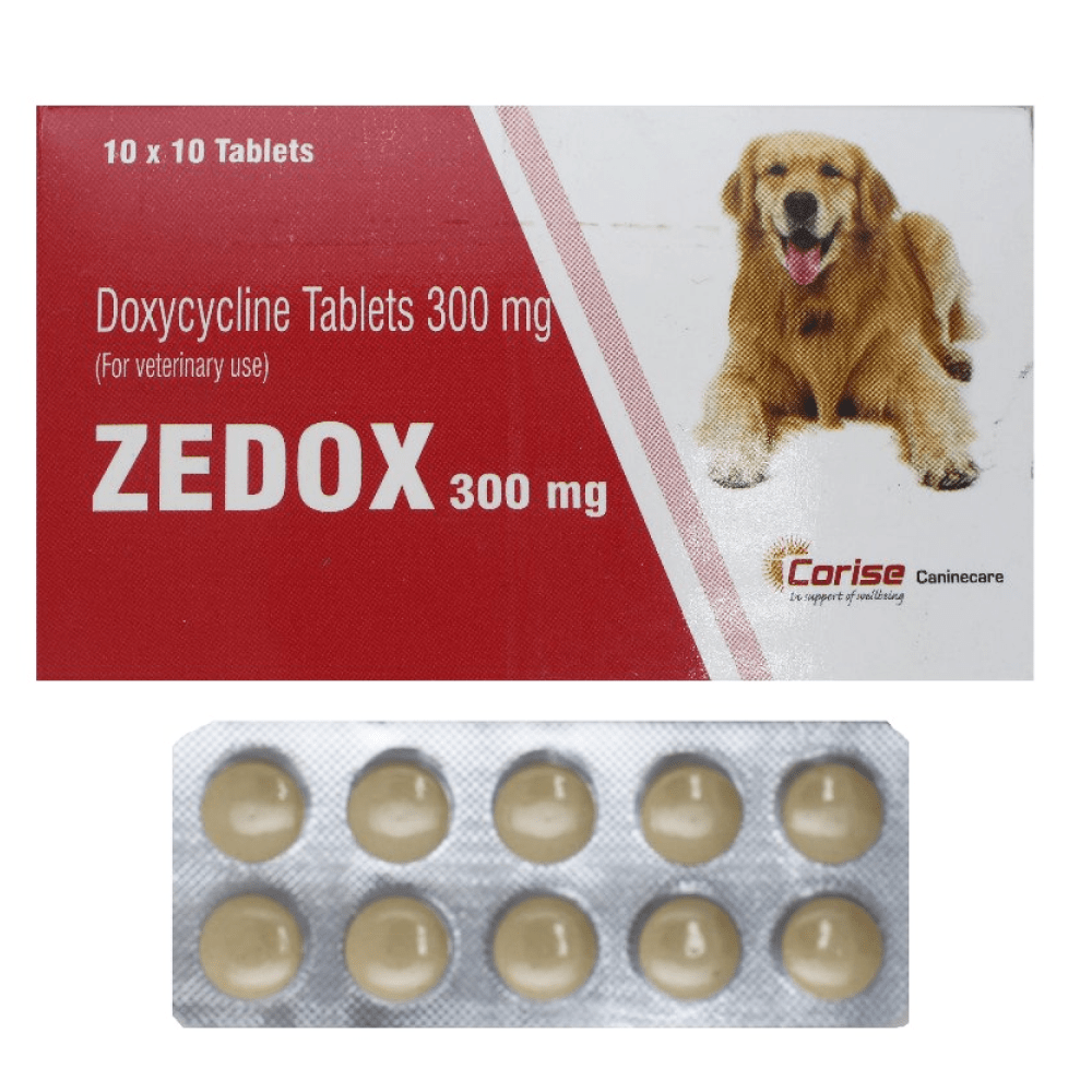 Corise Zedox (Doxycycline) 300mg Tablets for Dogs and Cats (10 tablets)