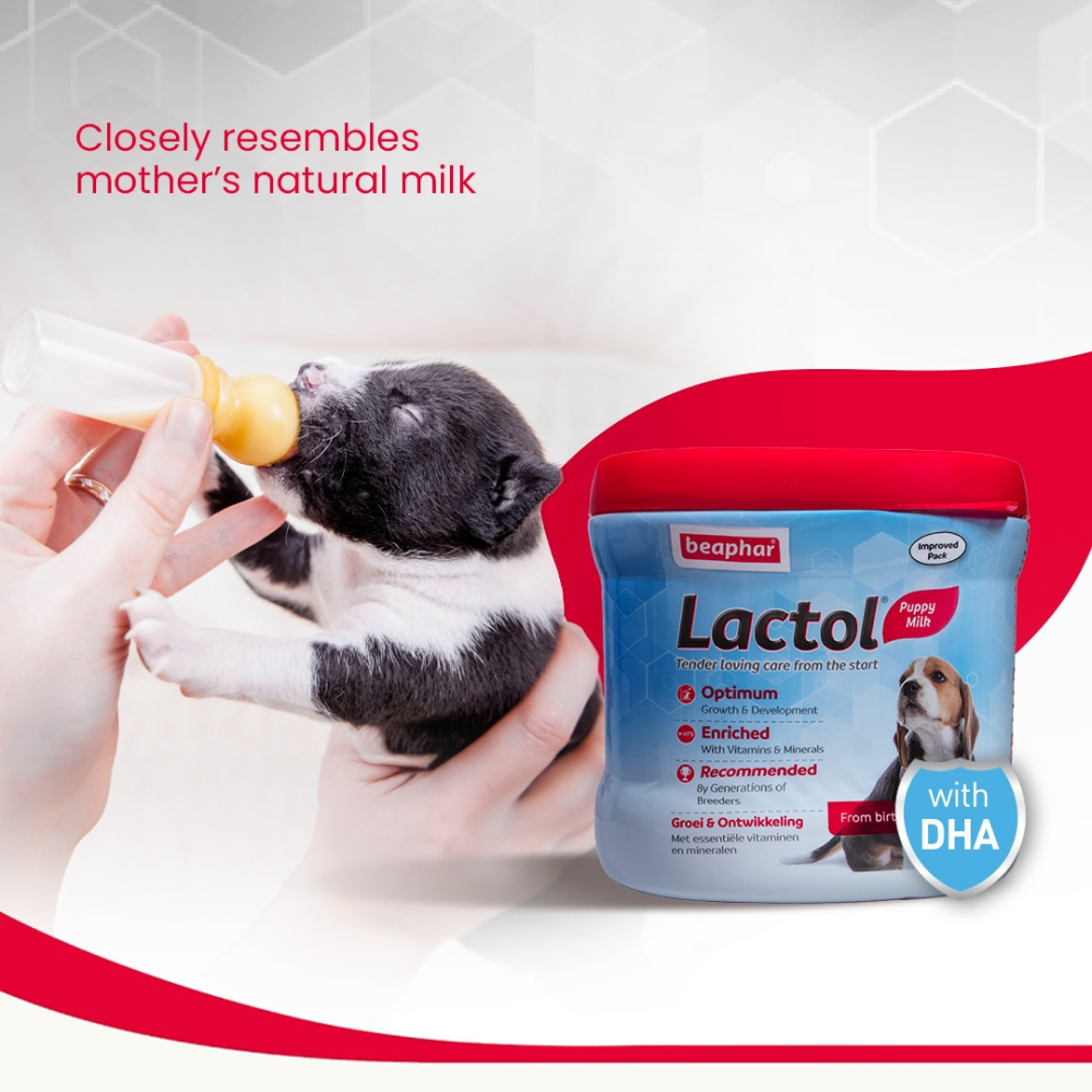 Beaphar Lactol New Born Milk Replacement Powder for Puppies image 4