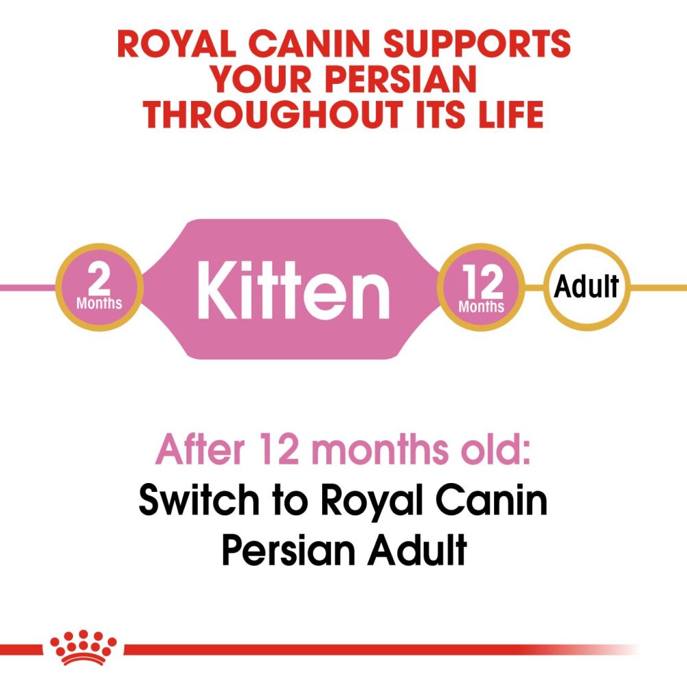 Royal Canin Persian Kitten Food Dry Cat Food image 4