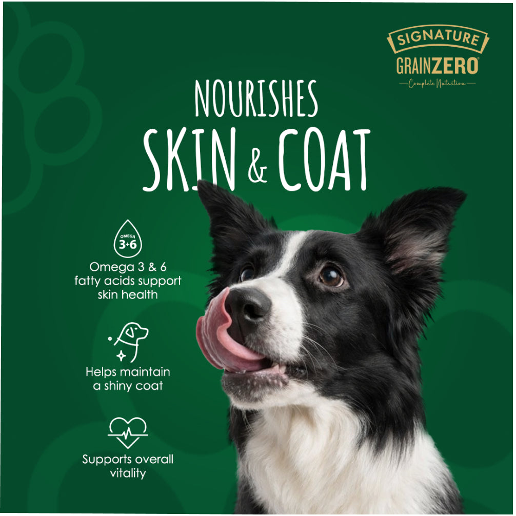 Signature Grain Zero Chicken Chunks Gravy Adult Dog Wet Food image 5
