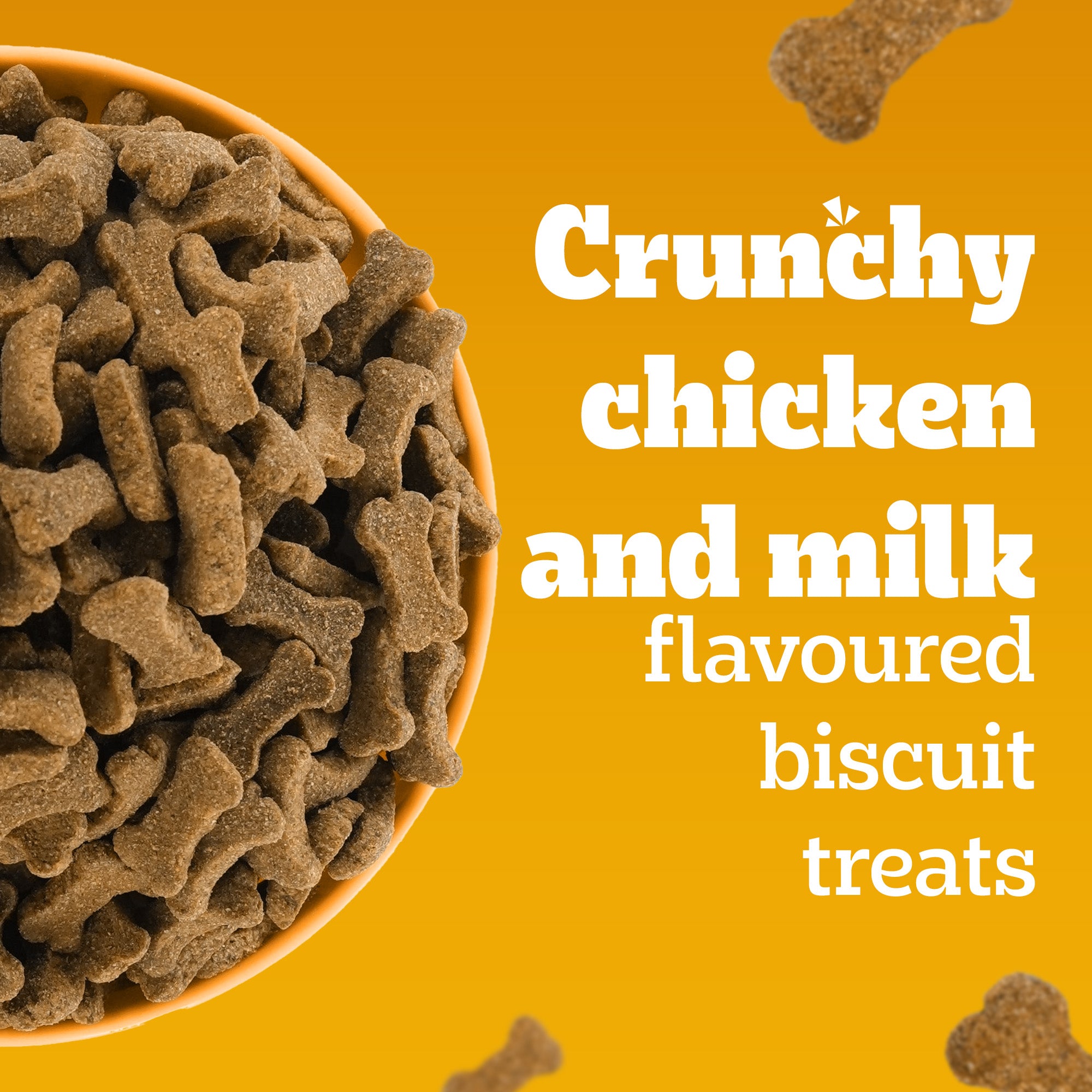 Pedigree Chicken with Milk Flavour (4+ Months) Biscrok Biscuits Jar Treats for Dogs image 9
