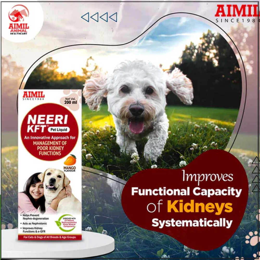 Aimil Neeri KFT Liquid Supplement for Dogs and Cats image 2