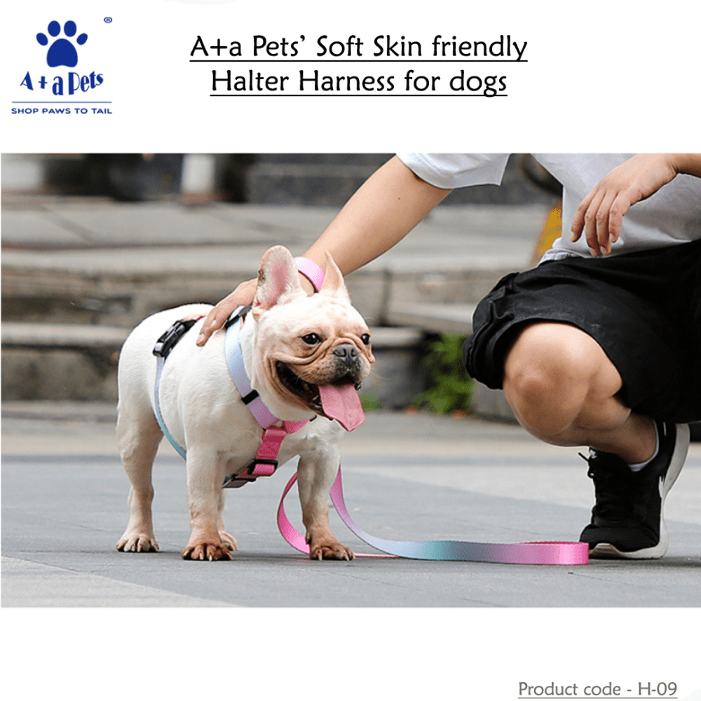 A Plus A Pets Skin Friendly Gradient Design Harness for Dogs and Cats (Pink) image 2