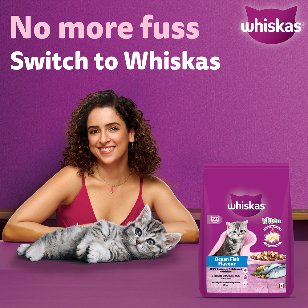 Whiskas Ocean Fish Kitten Cat Dry Food image 2