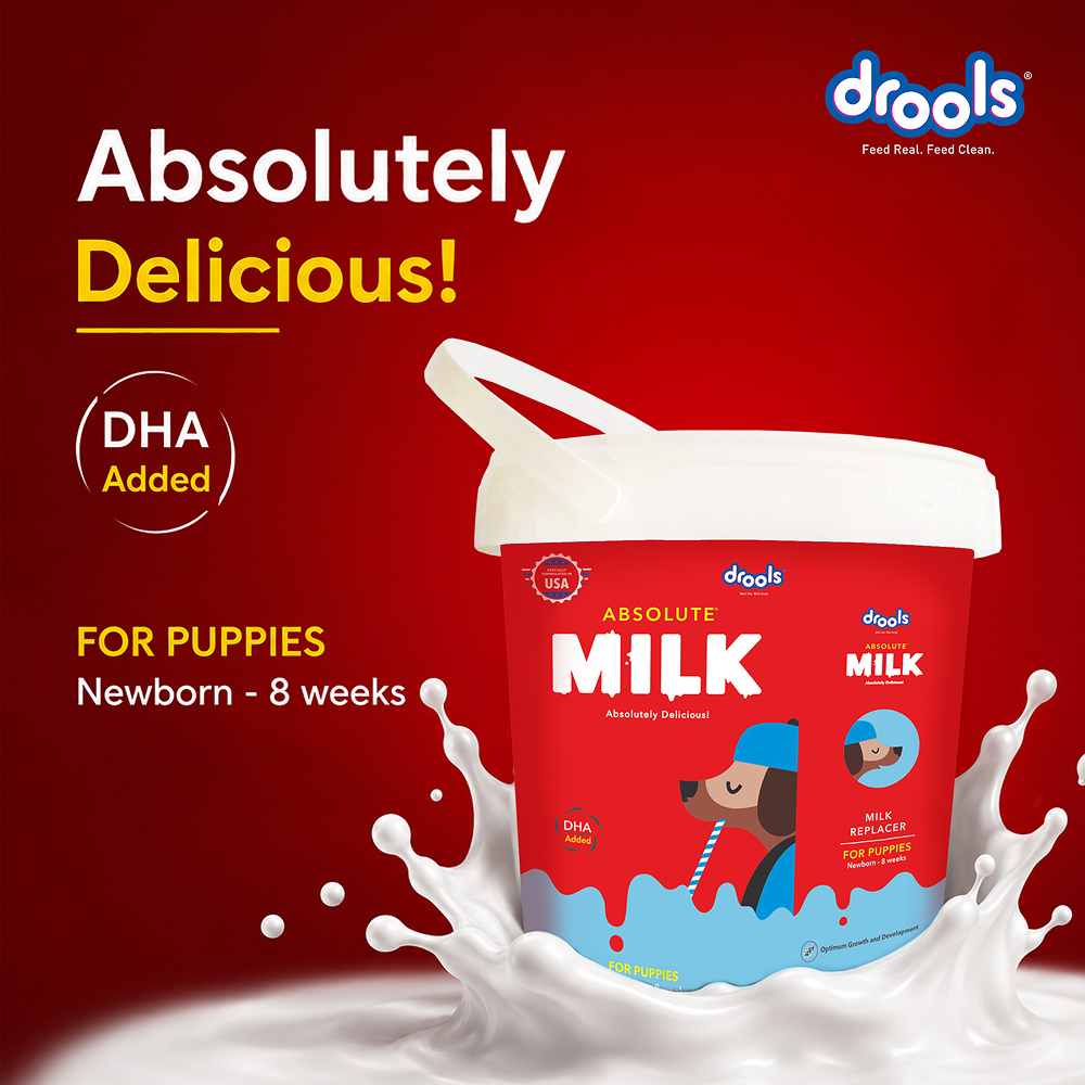 Drools Absolute Milk for Newborn Puppies image 2
