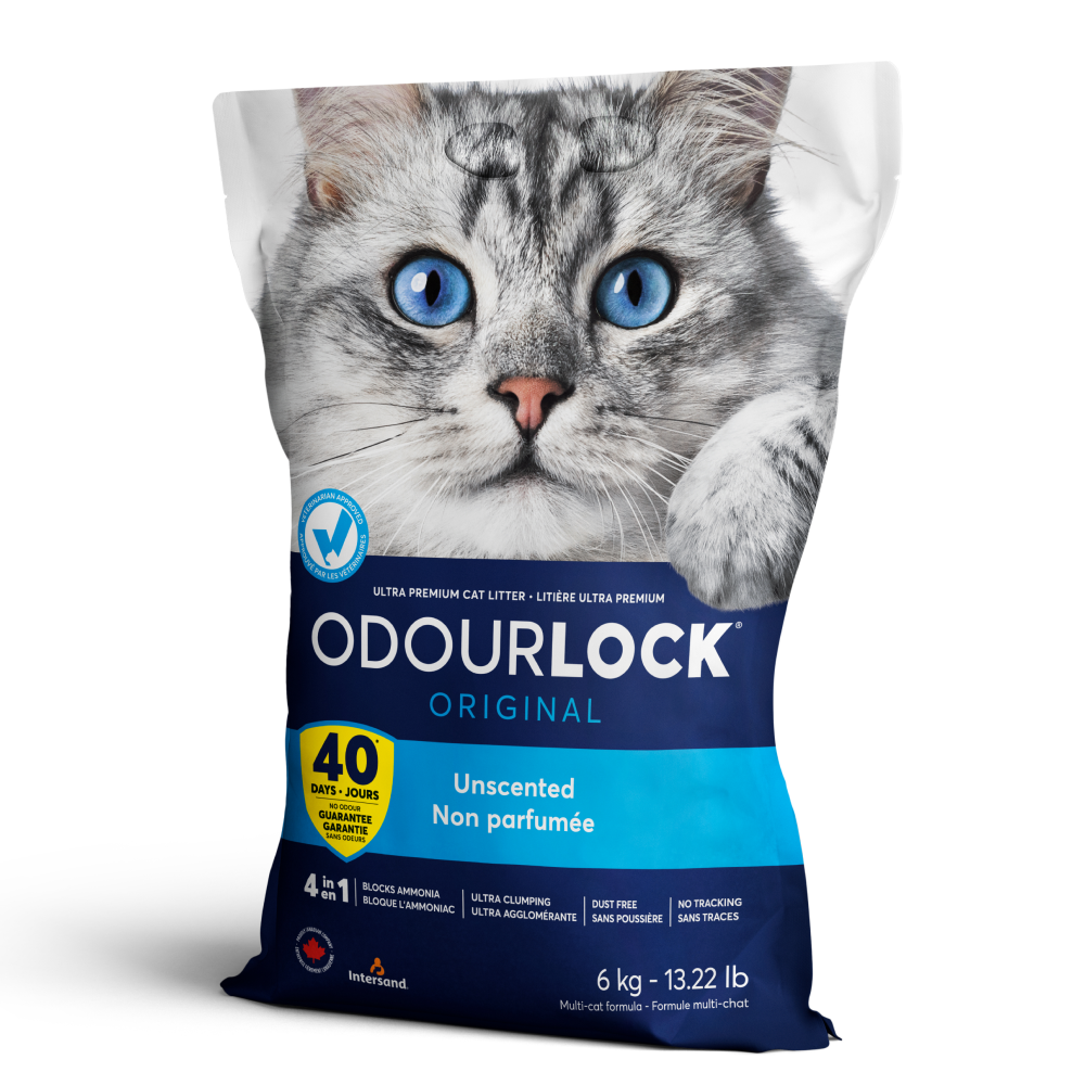Intersand Unscented Odour Lock Cat Litter image 9
