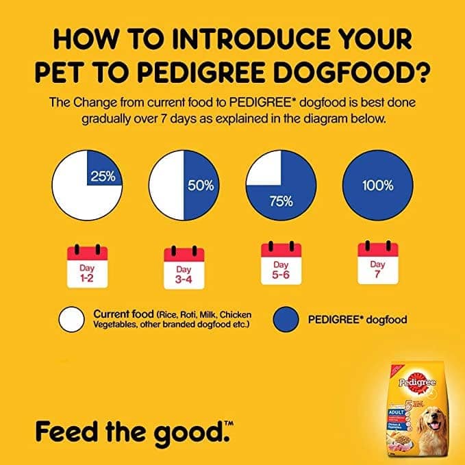 Pedigree Chicken and Vegetables Dry and Chicken and Liver Chunks in Gravy Wet Adult Dog Food Combo image 5