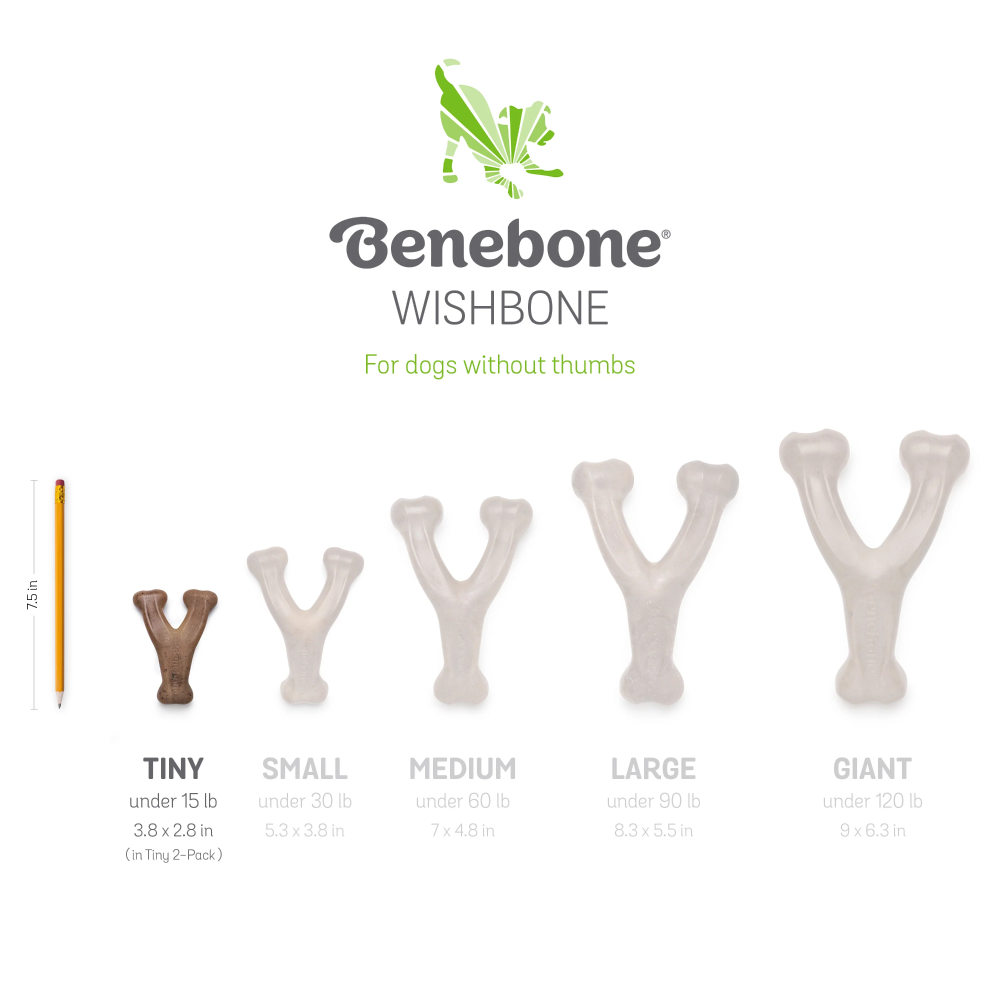 Benebone Bacon Flavored Dental and Wishbone Chew Toys for Dogs image 3