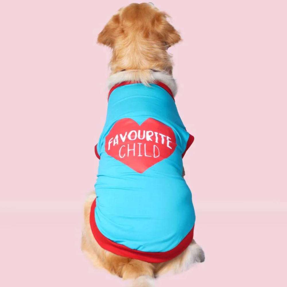 Pet Set Go Favourite Child Tshirt for Dogs (Blue) image 5