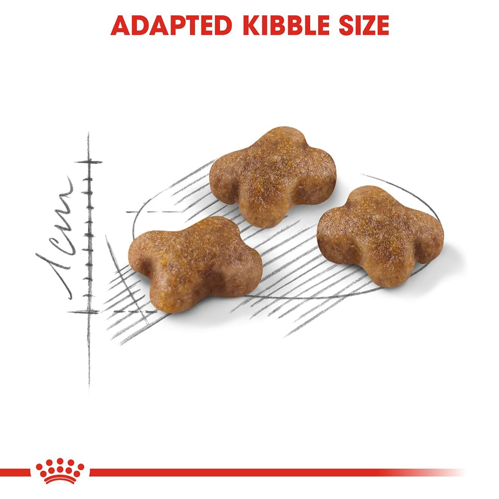 Royal Canin Kitten Cat Dry Food image 4