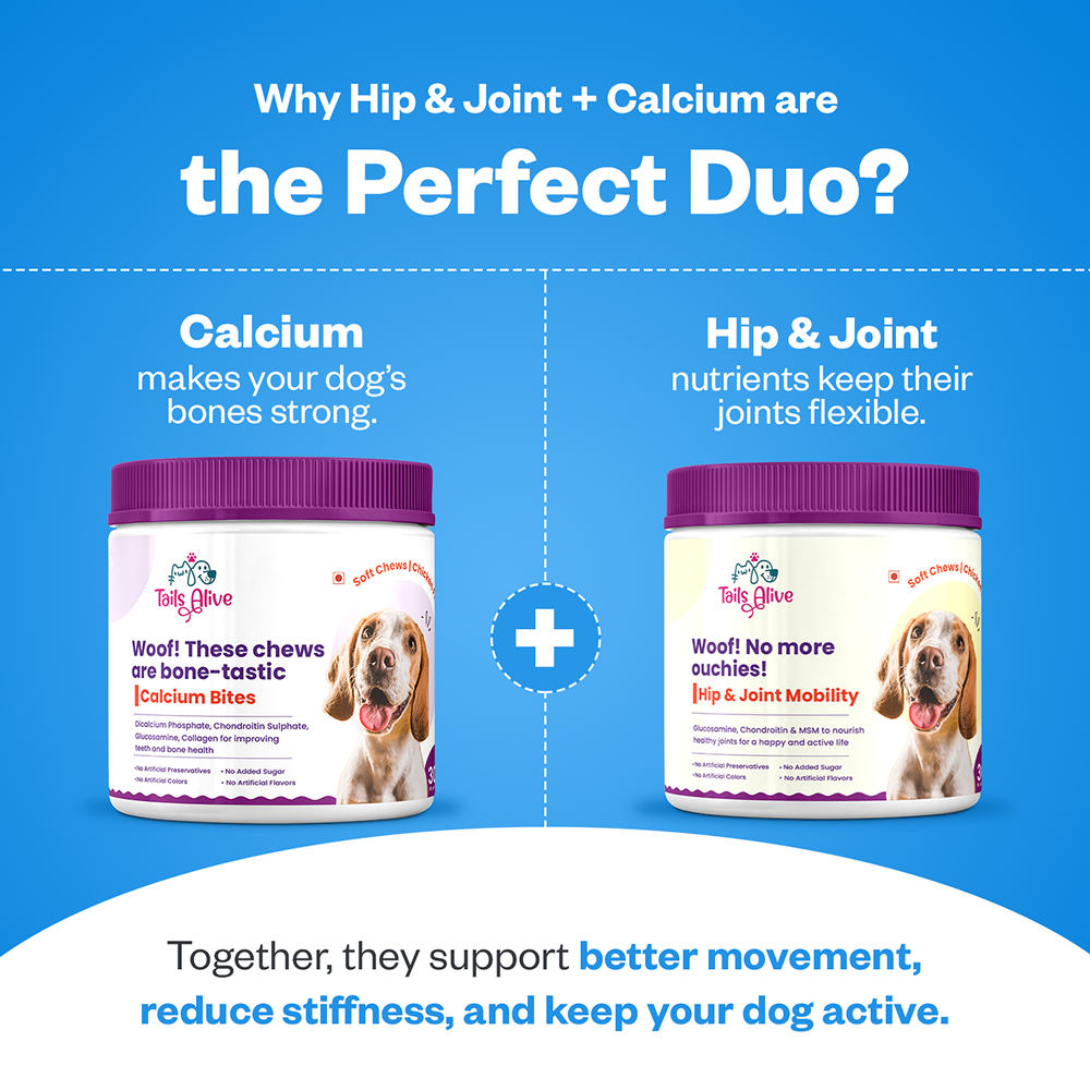 TailsAlive Hip & Joint and Calcium Chicken Flavor Soft Chews Supplements Combo for Dogs image 6