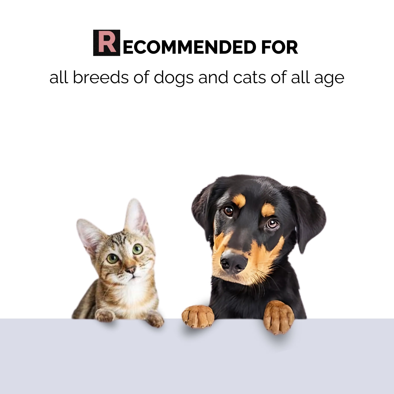Moe Puppy Aloe Vera Deodorizer for Dogs and Cats image 5