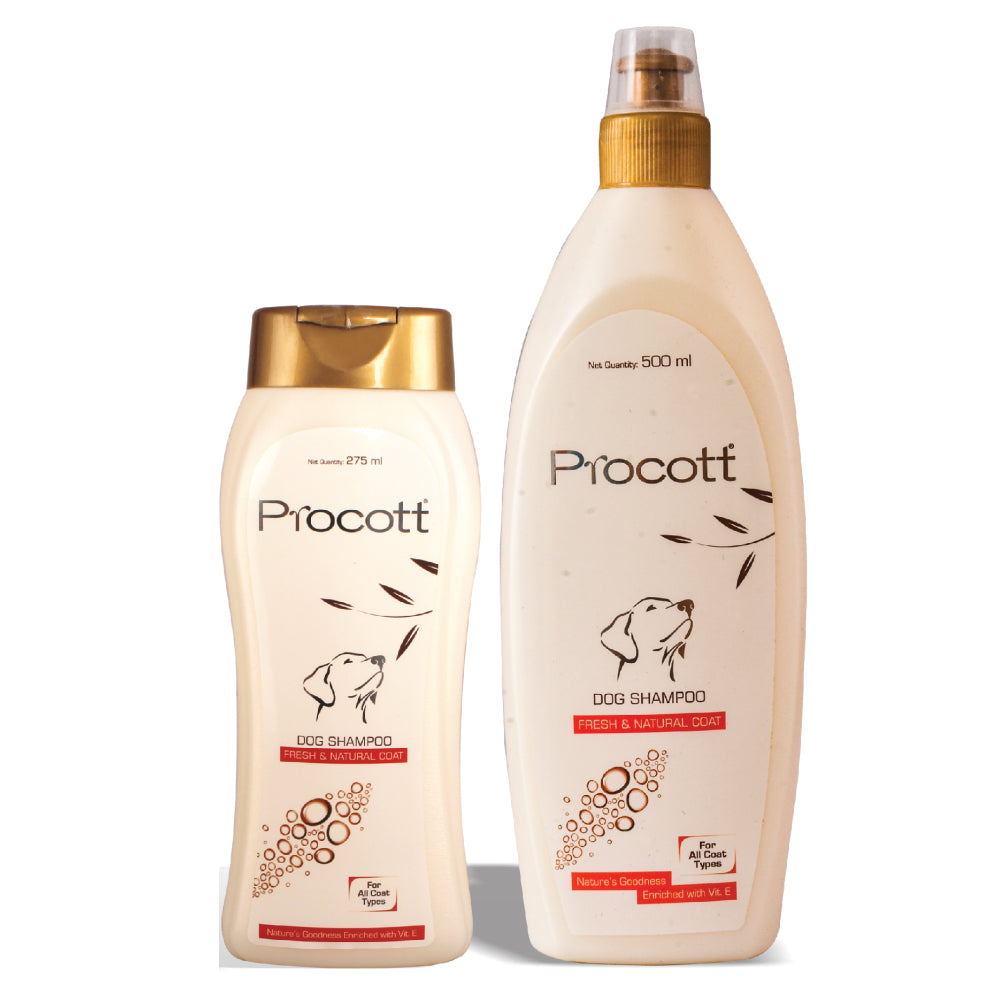Intas Procott Shampoo for Dogs image 4