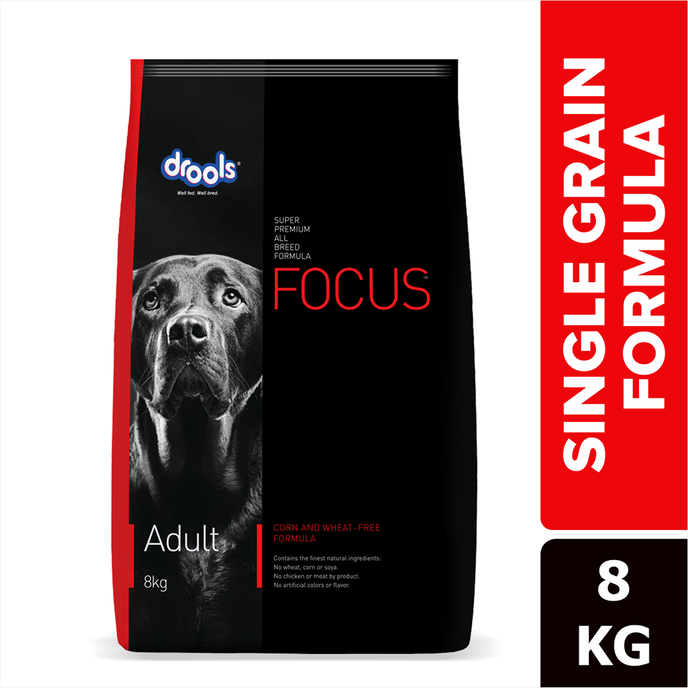 Drools Focus Super Premium Adult Dog Dry Food | Corn & Wheat Free Formula image 4