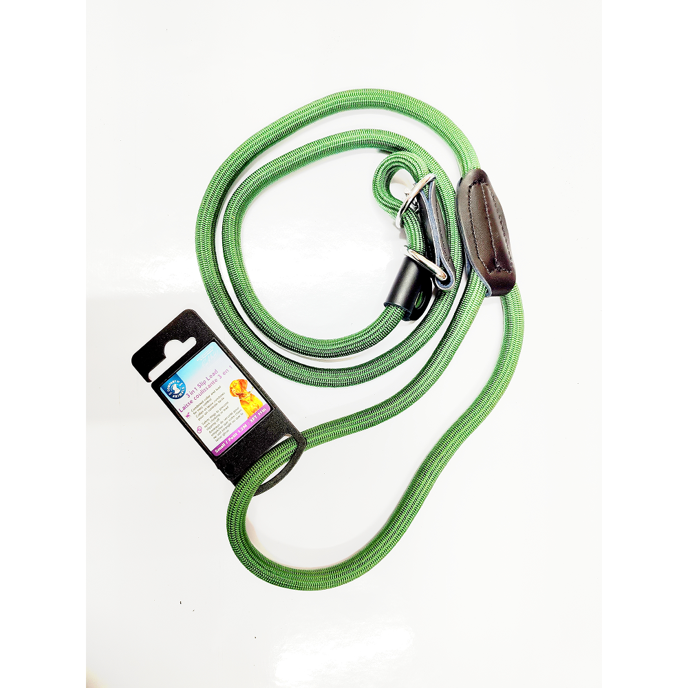 Pet Head 3 In 1 Slip Lead Leash for Dogs (Green)