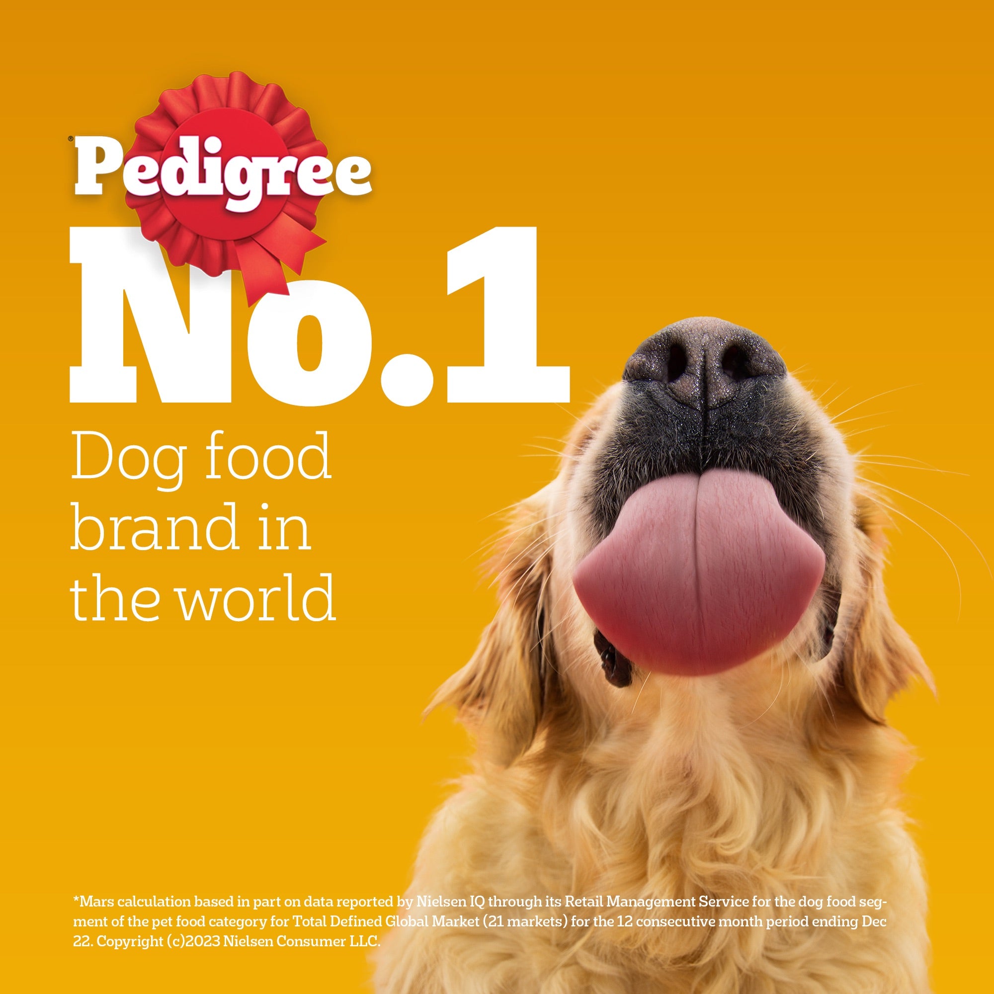Pedigree Chicken and Liver Chunks in Gravy Adult Dog Wet Food (70g) image 2