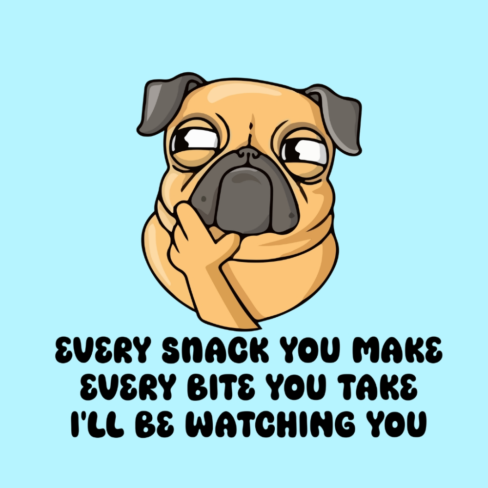 Cheeku I'll Be Watching You Graphic Cotton T Shirt for Dogs and Cats (Sky Blue) image 3