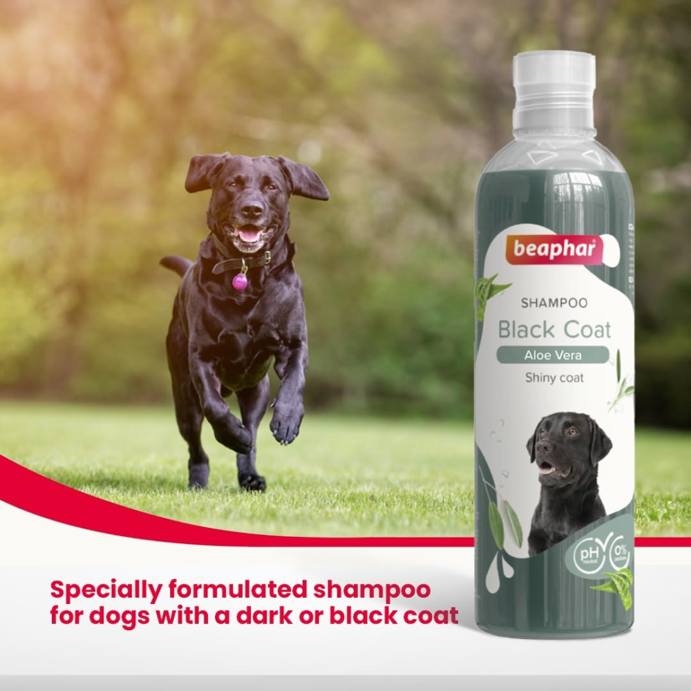 Beaphar Aleo Vera & Herbal Black Coat Shampoo for Dogs image 3
