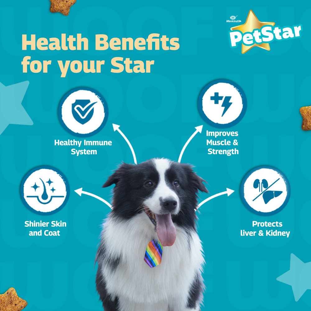Mankind Petstar Chicken and Wheat Adult Dog Dry Food image 5