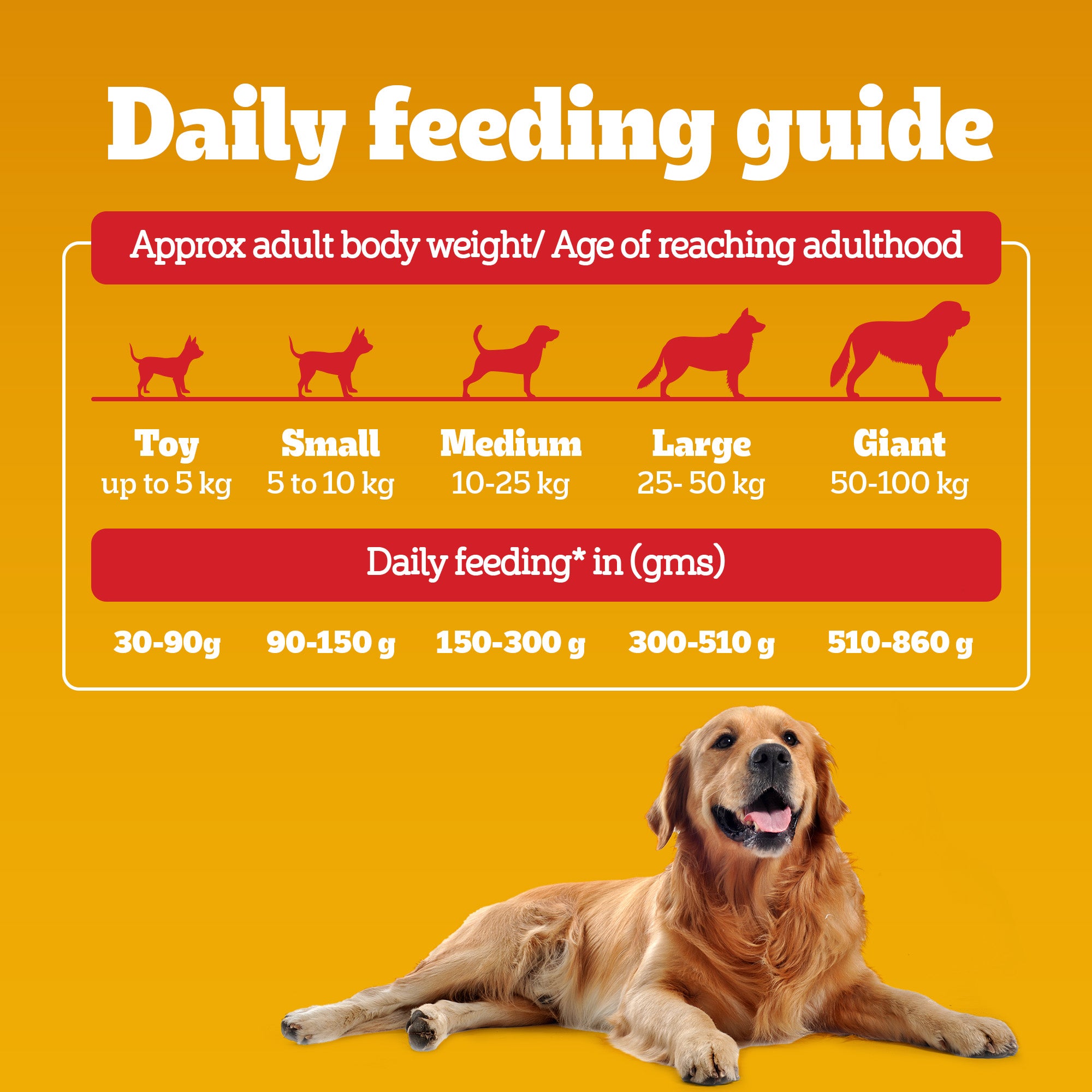 Pedigree Chicken and Vegetables Adult Dry Dog Food image 10