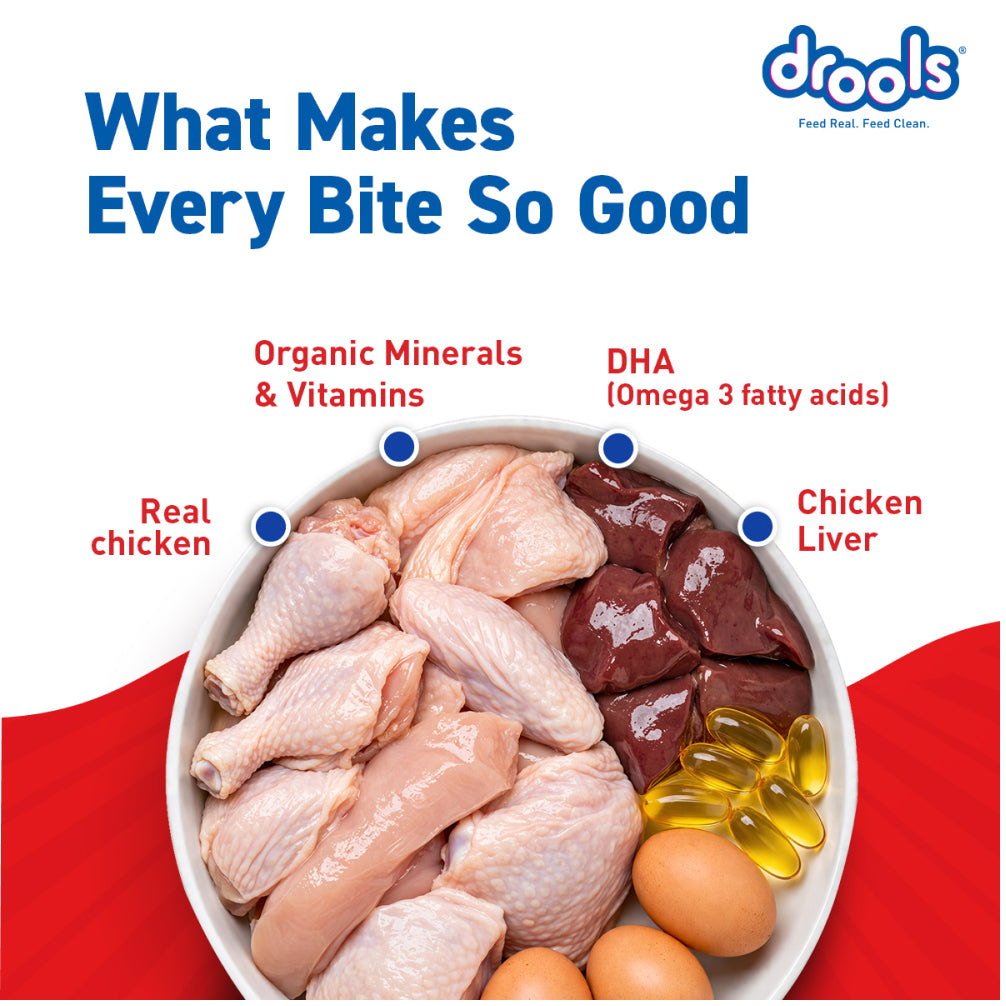 Drools Real Chicken & Chicken Liver Chunks in Gravy Puppy Dog Wet Food image 7