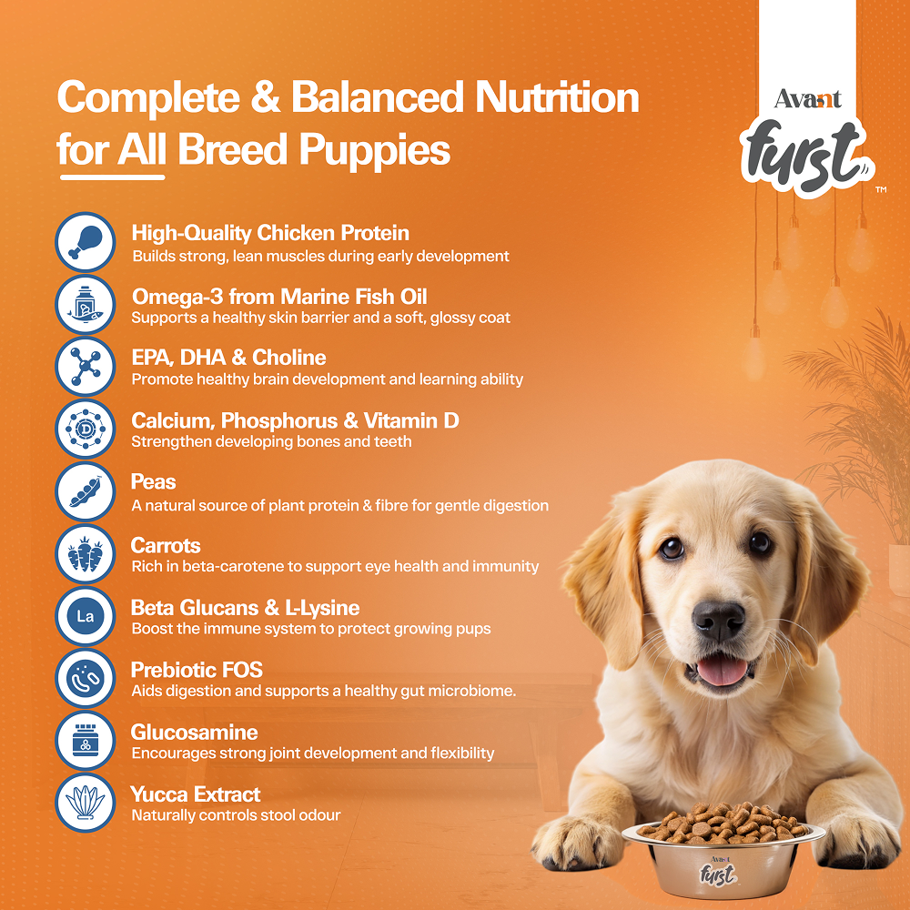 Avant Furst Chicken and Vegetable Puppy Dry Food image 7