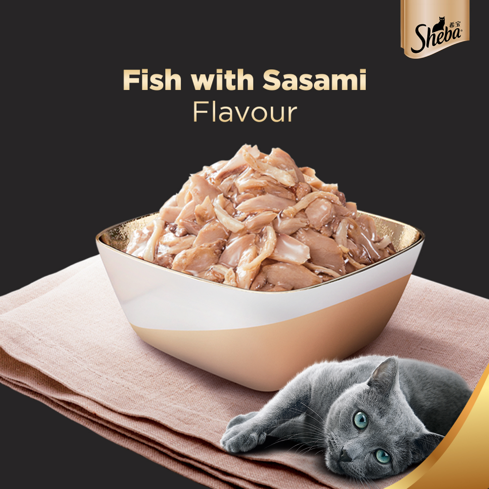 Sheba Fish with Sasami Premium Cat Wet Food image 5