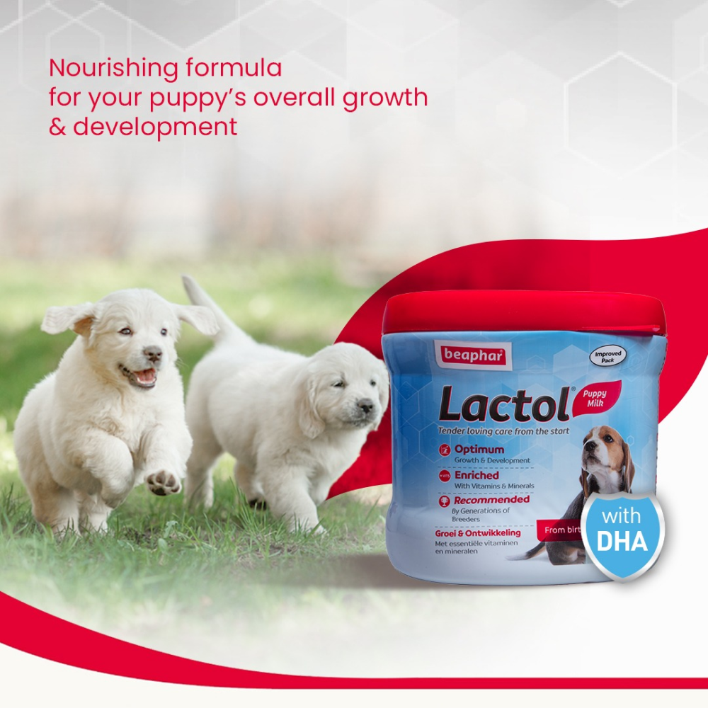 Beaphar Lactol New Born Milk Replacement Powder for Puppies image 3