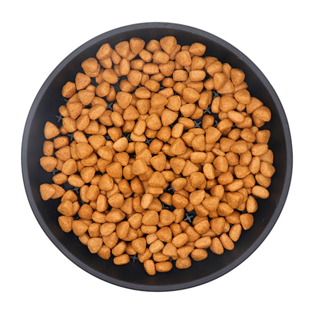 Talking Dog Club Lickables Licking Bowls for Dogs and Cats (Black) image 8