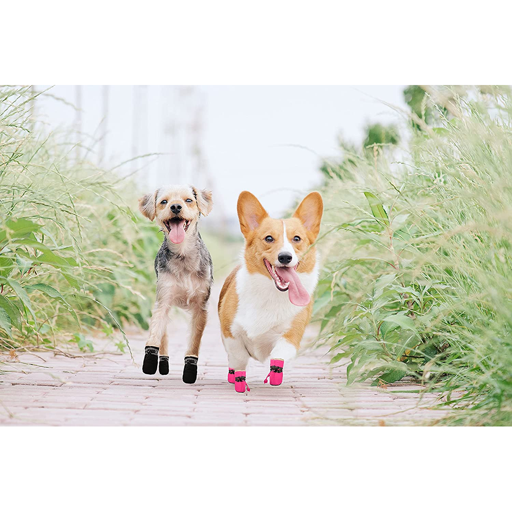 KUTKUT Paw Protector Boots for Small Dogs (Black) image 5