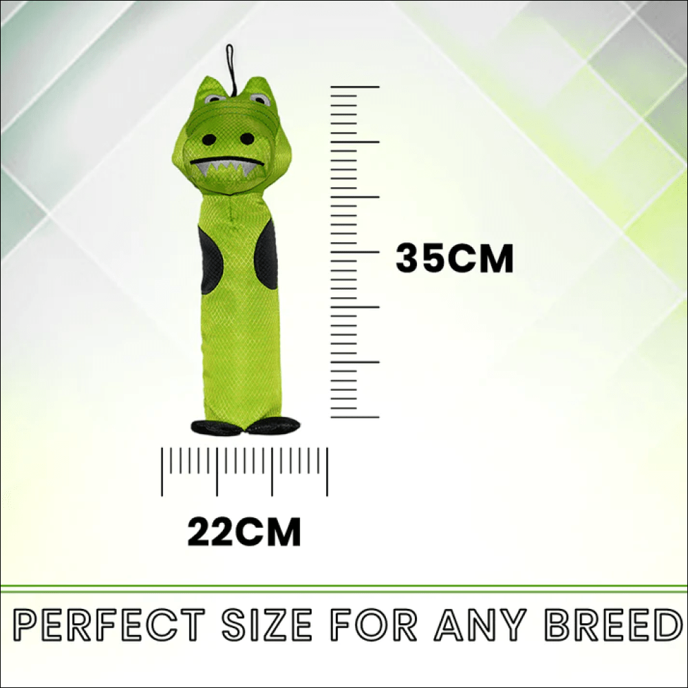 Basil Crunchy Crocodile Plush Toy for Dogs and Cats (Green) image 4