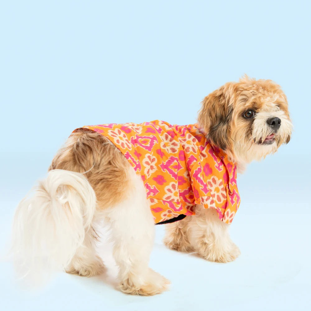 Pet Set Go Phool Cotton Shirt for Dogs (Orange)