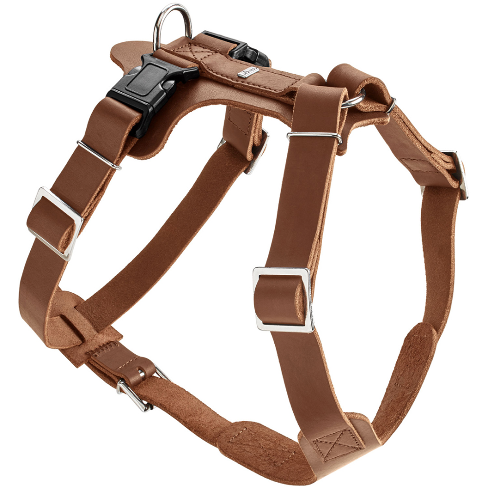 Hunter Aalborg Adjustable Leather Harness for Dogs (Cognac) image 1