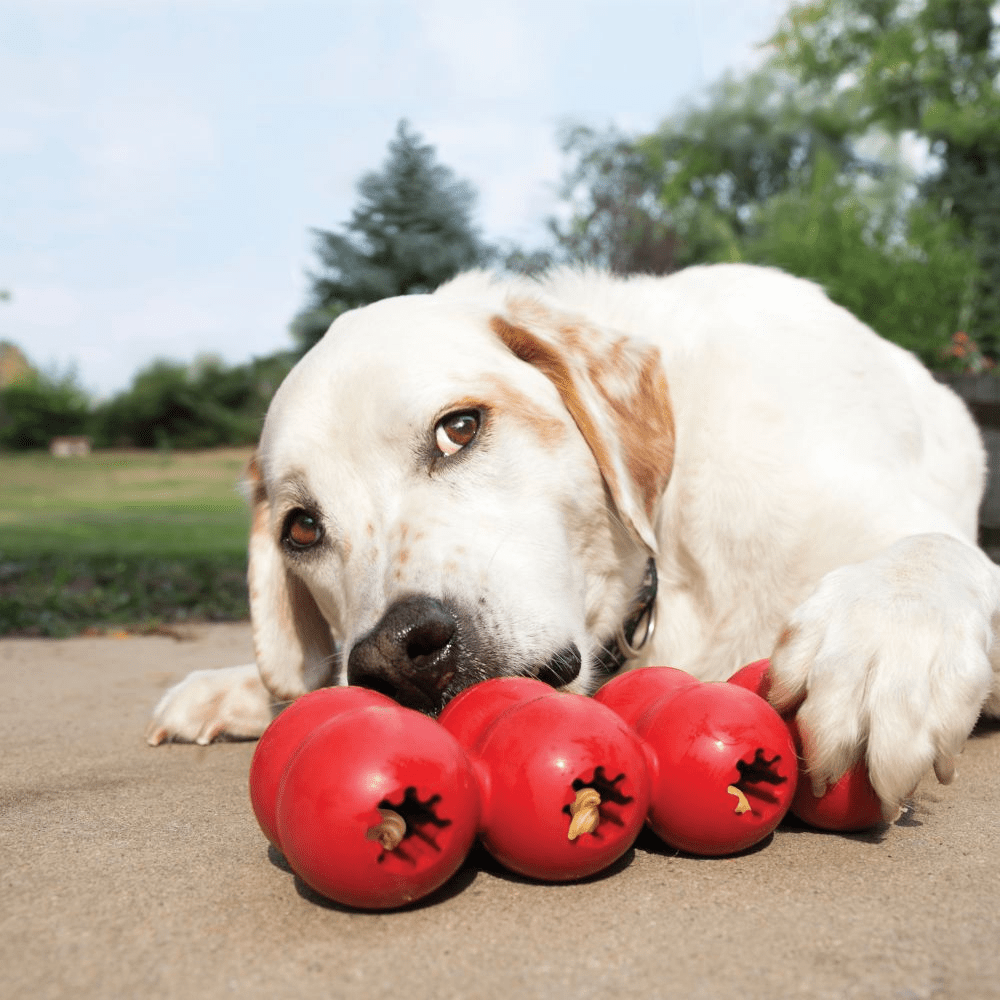 Kong Goodie Ribbon Toy for Dogs image 7