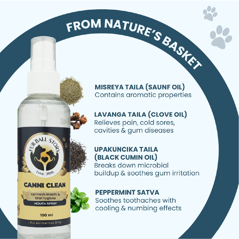 FurBall Story Canni Clean Oral Hygiene Mouth Spray for Dogs and Cats image 3