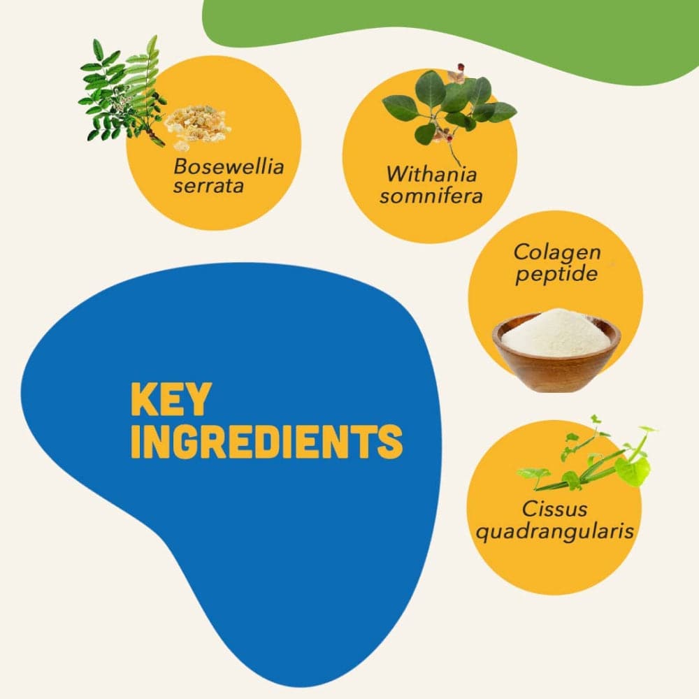 Natural Remedies Mobility Bites Chew Treats for Dogs image 4