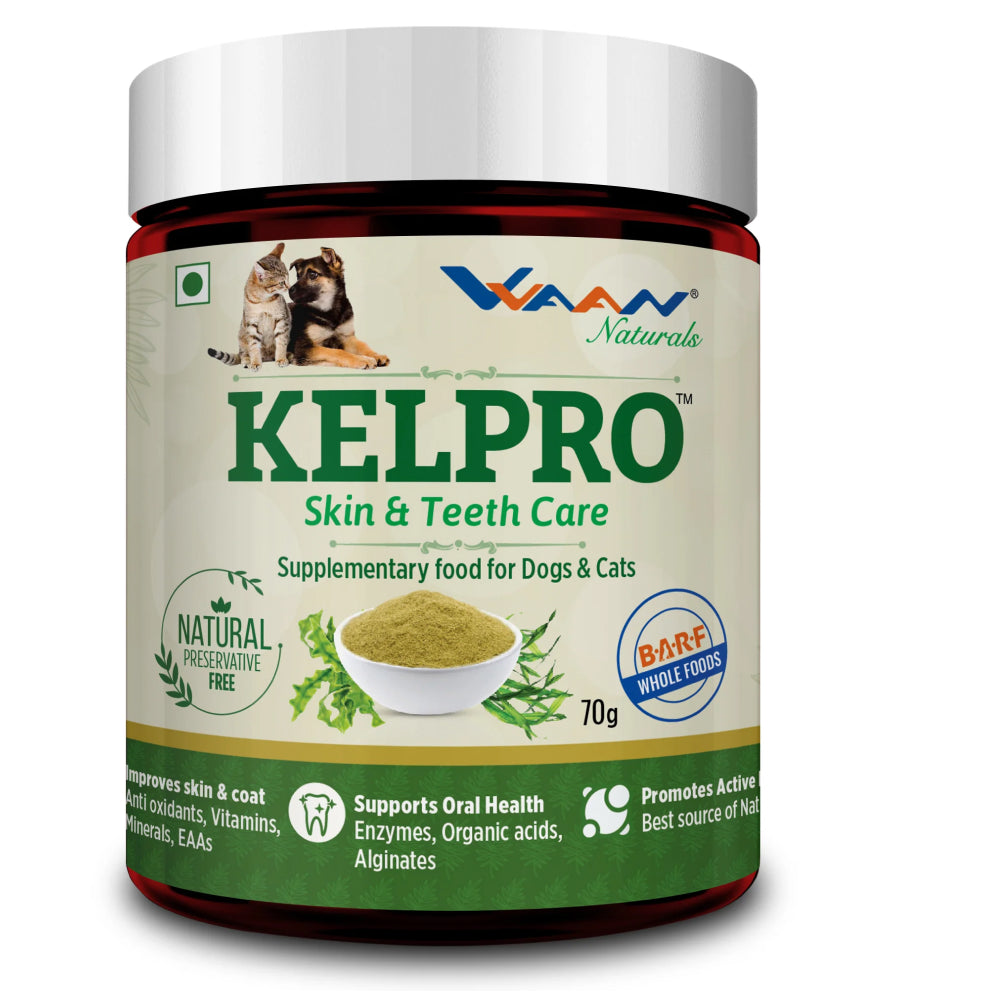Vvaan Kelpro Powder Skin & Teeth Care Dogs and Cats image 2
