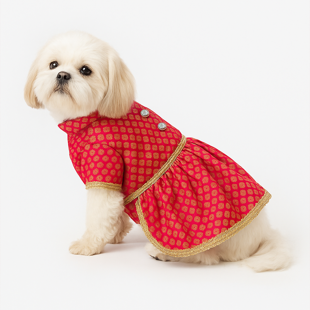 Pawsindia Traditional Royal Brocade Dress for Dogs (Red) image 1