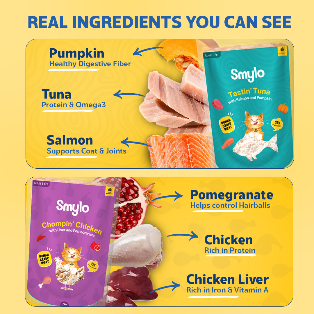 Smylo Adult Variety Combo, Tuna, Chicken & Mackerel, Fresh & No-Preservative Wet Cat Food image 8