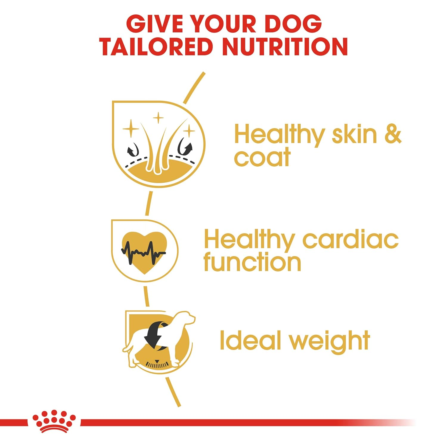 Royal Canin Golden Retriver Adult Dog Dry Food image 2