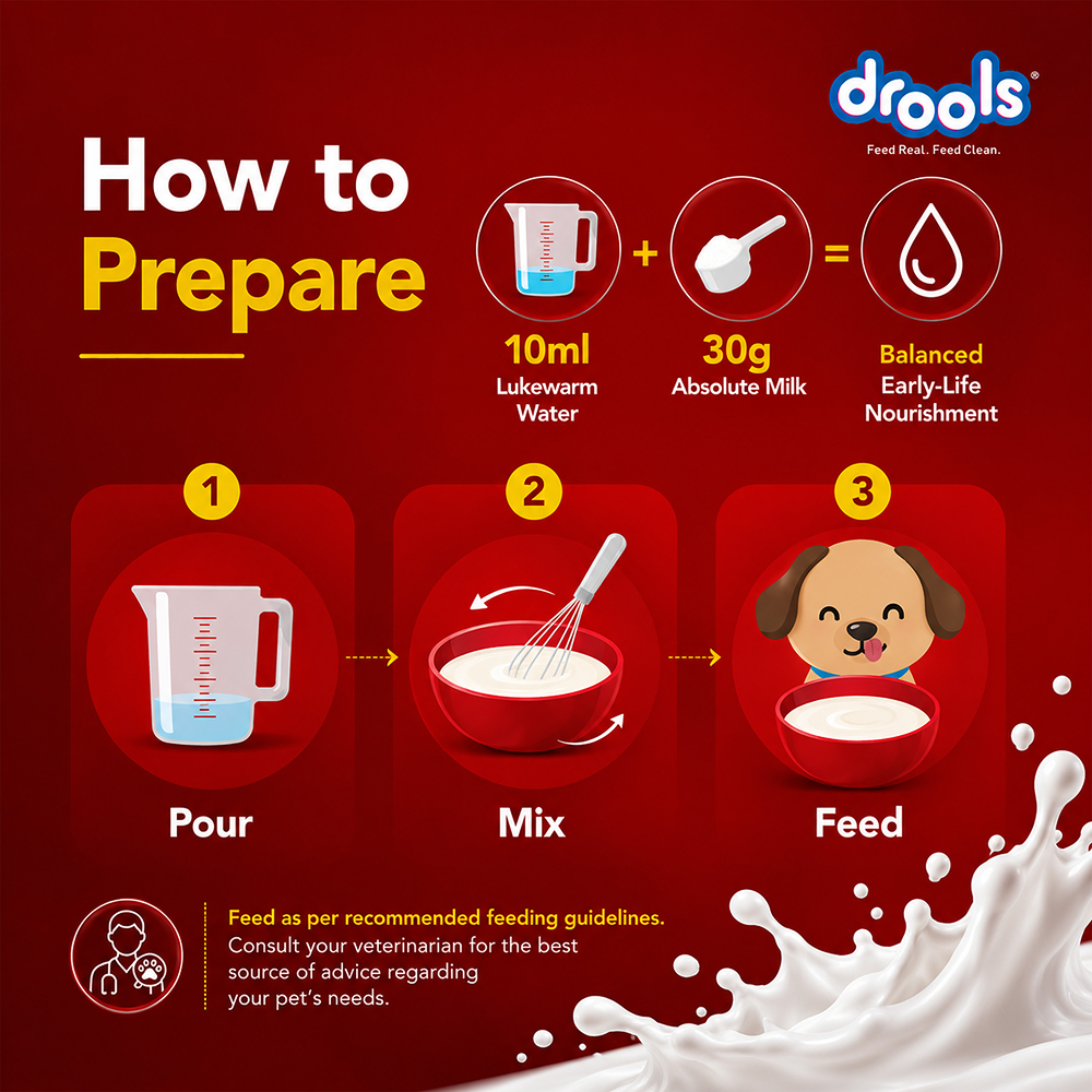 Drools Absolute Milk for Newborn Puppies image 10