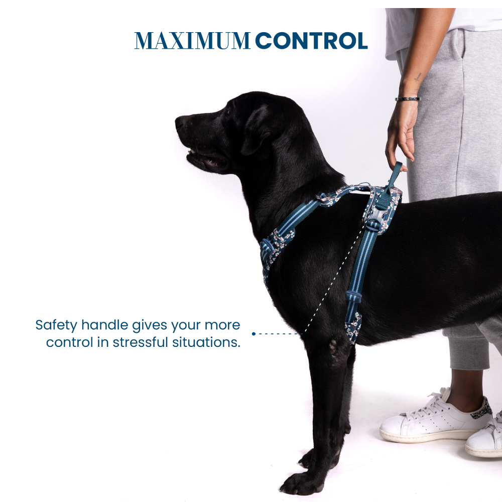Truelove Floral No Pull 3M Reflective Harness for Dogs (Saxony Blue) image 7