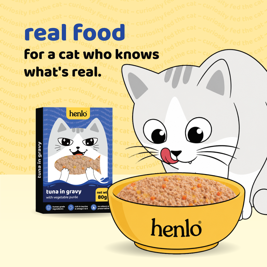Henlo Tuna in Gravy with Vegetable Puree Adult Cat Wet Food | 100% Human Grade Ingredients image 9