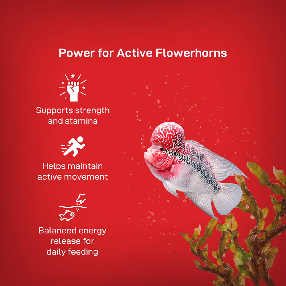 Drools Finsters Flower Horn Monster Hump Fish Food image 7