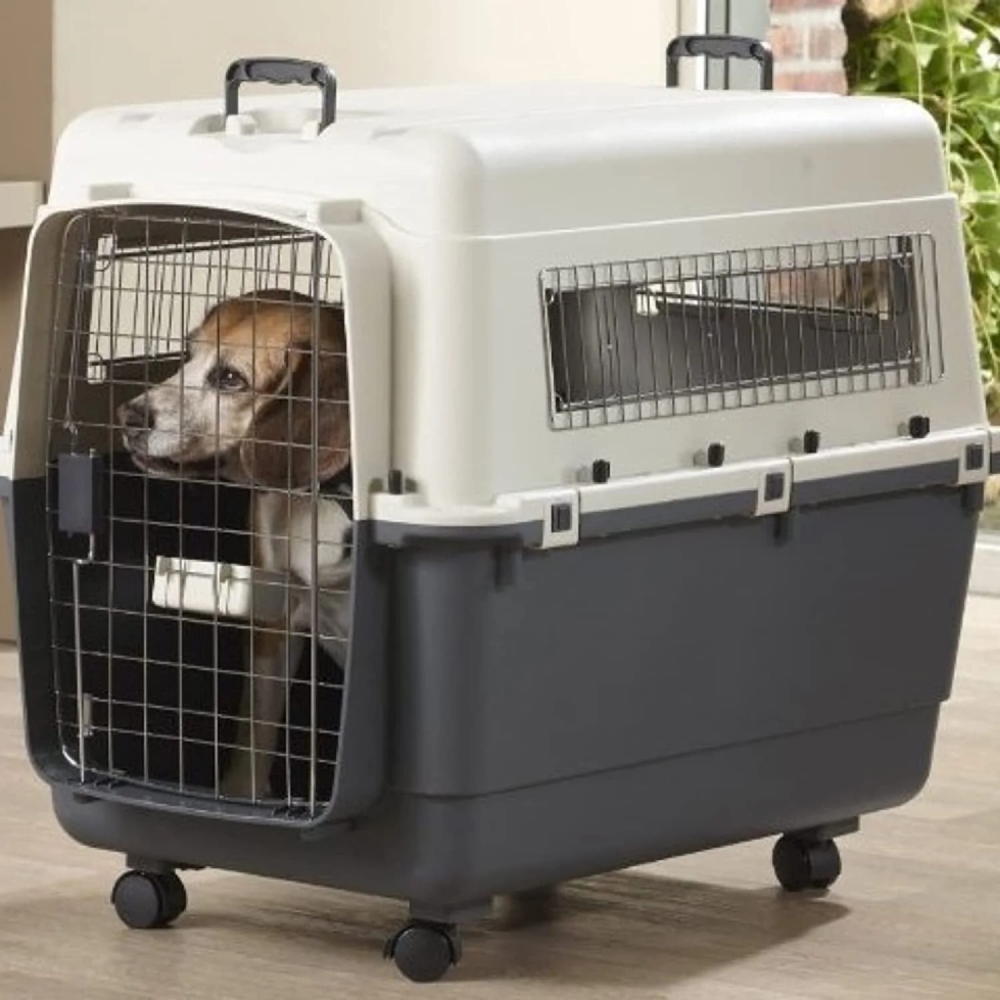 Savic Andes 5 Carrier for Dogs and Cats (Ivory) image 5