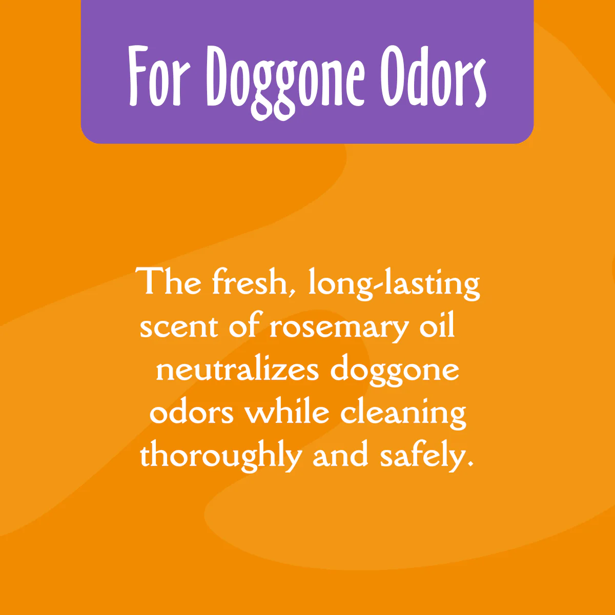 EarthBath Mediterranean Magic Deodorizing Shampoo for Dogs and Cats image 4