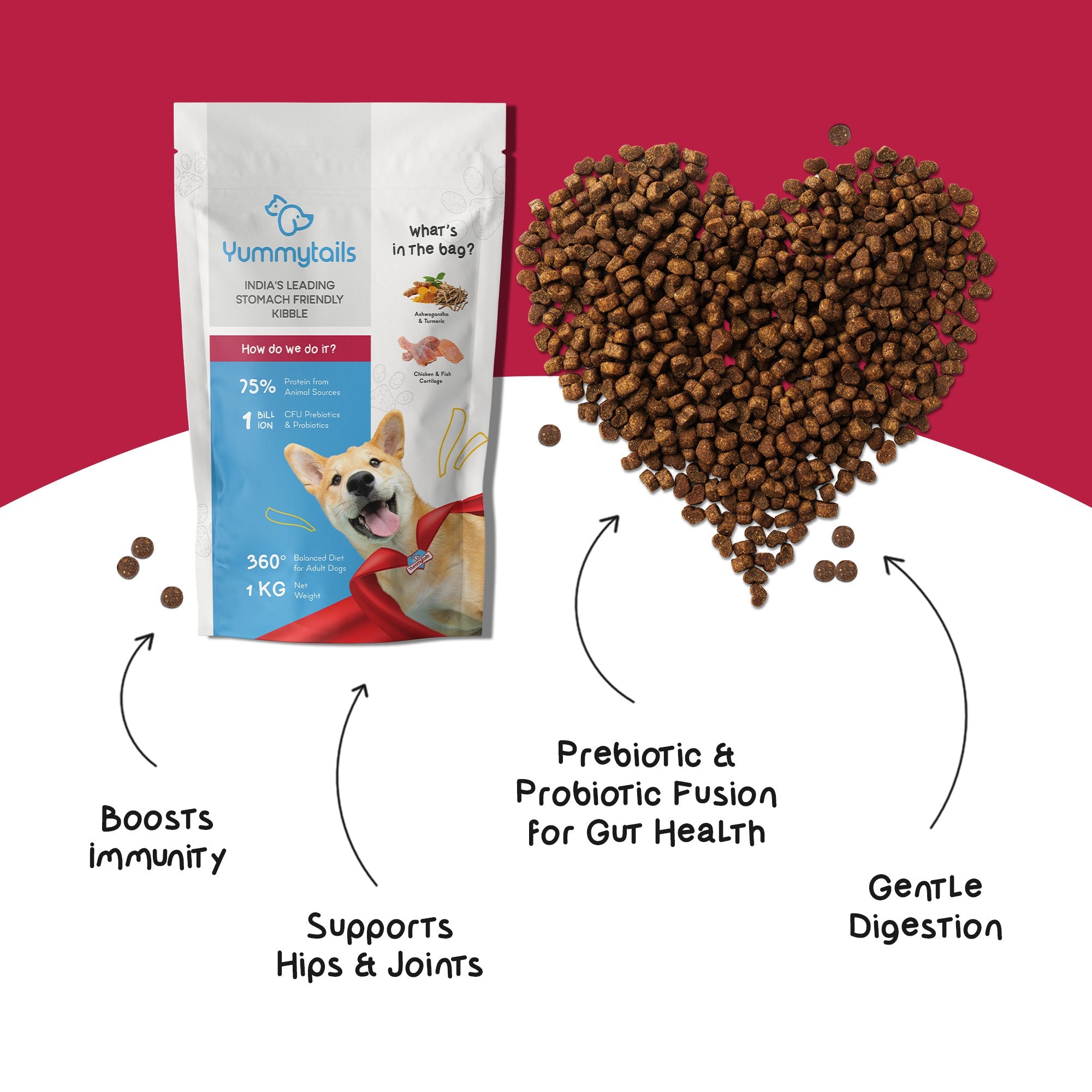 Yummytails Chicken and Fish Premium Adult Medium and Large Dog Dry Food image 7