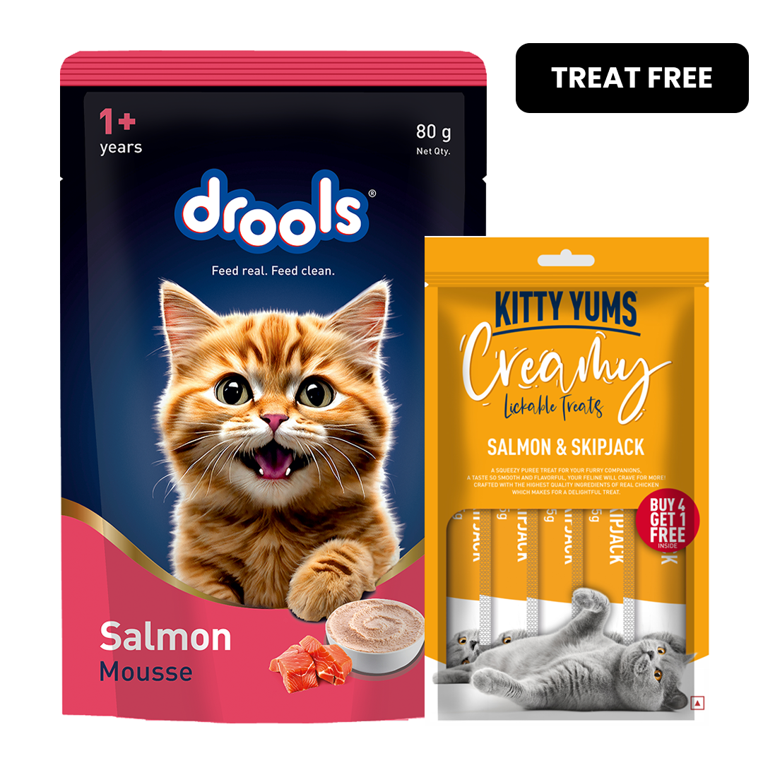 Drools Salmon Mousse Adult Cat Wet Food image 2