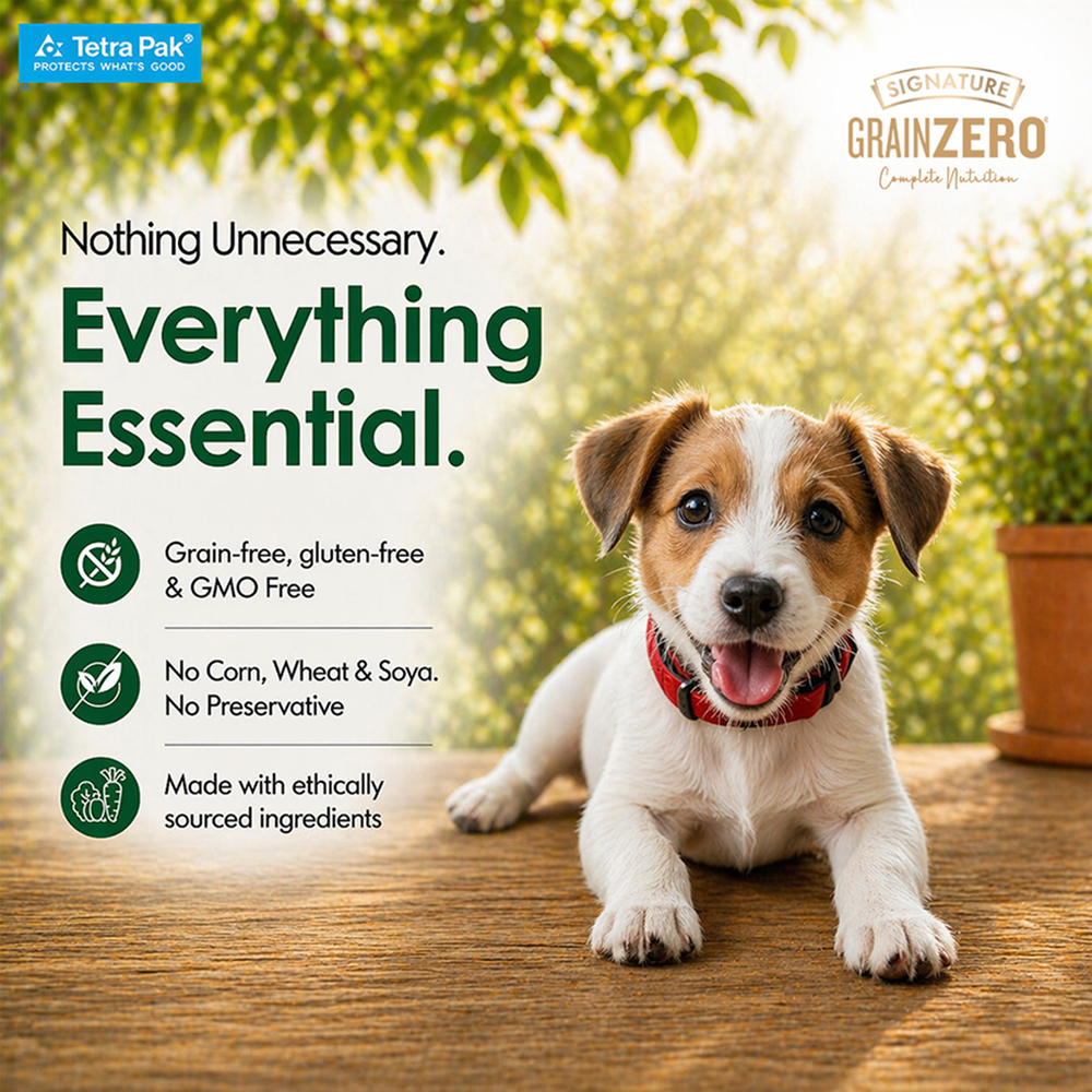 Signature Grain Zero Tetra Pack Real Chicken Veggies Dog Fresh Food image 4