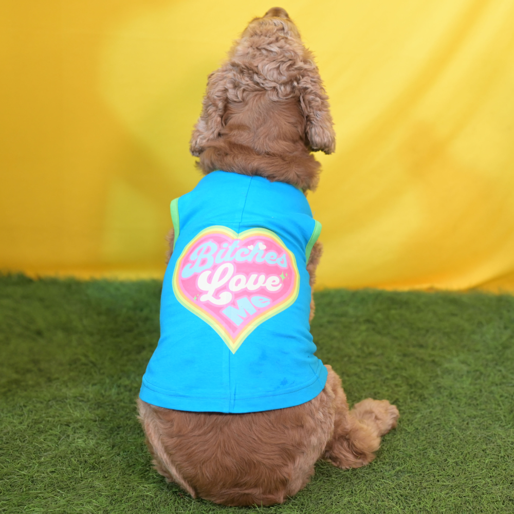 Skatrs Bitches Love Me Printed Summer Cotton T Shirt for Dogs and Cats (Blue) image 2